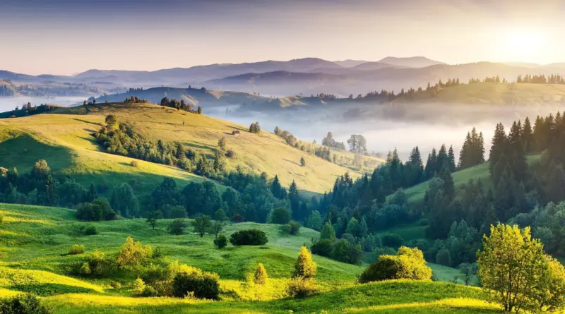 Hal Elrod - The Miracle Morning